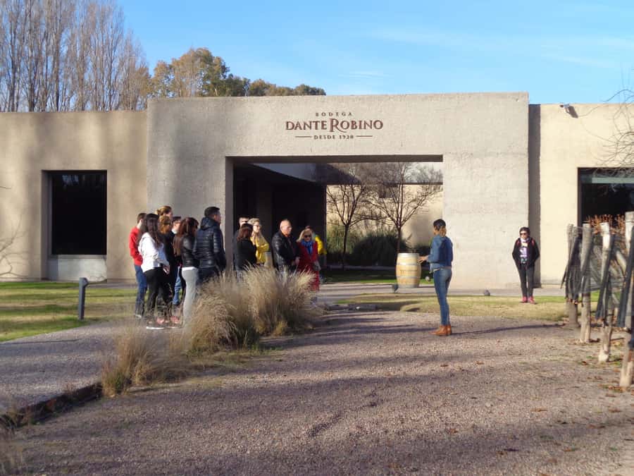 Mendoza: Half-Day Wine Tour with Tastings - Why Mendoza’s wine country begins with water