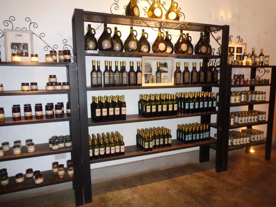 Mendoza: Half-Day Wine Tour with Tastings - What happens at the first winery