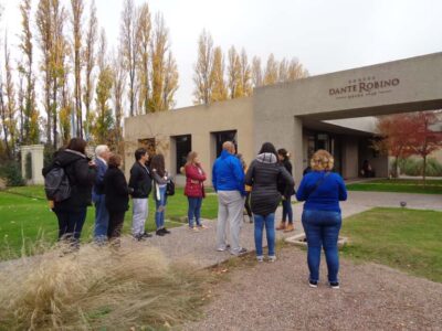 Half-Day Wine Tour with Tastings