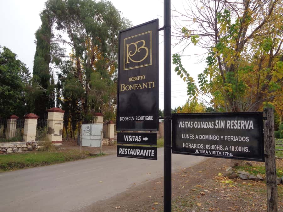 Mendoza: Half-Day Wine Tour with Tastings - Timing, groups, and the cost of a short tour