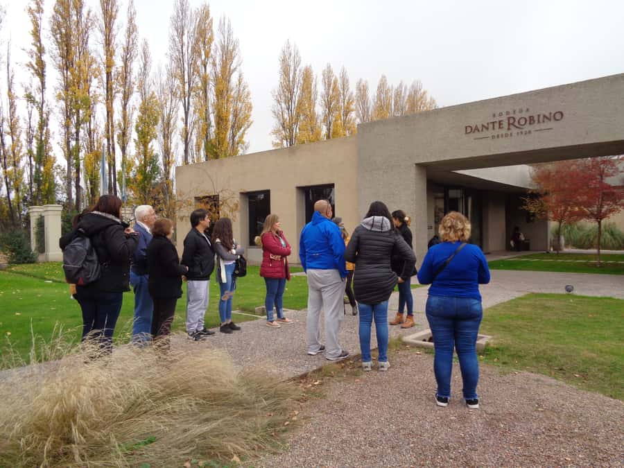 Mendoza: Half-Day Wine Tour with Tastings - The coach ride sets the pace