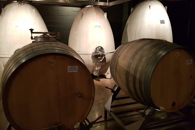 Mendoza Hop-On Hop-Off Wine Tour - Key points at a glance