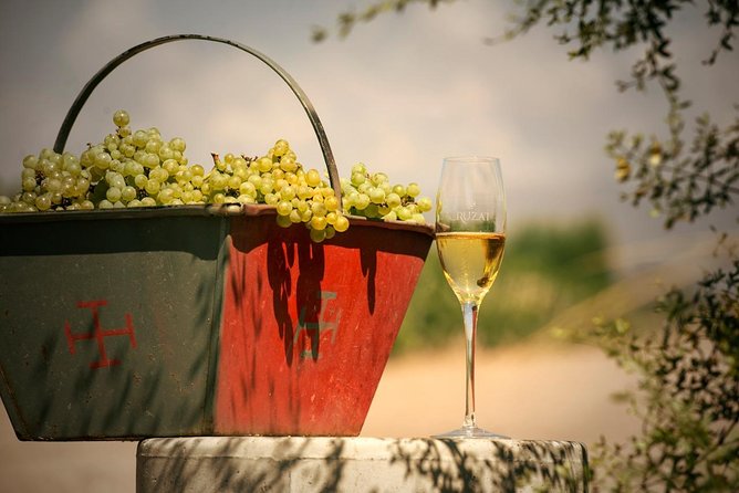 Mendoza Hop-On Hop-Off Wine Tour - The guide and driver make a real difference