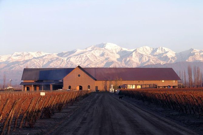Mendoza Hop-On Hop-Off Wine Tour - Is $40 good value?