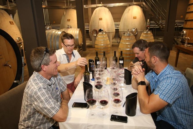 Mendoza Hop-On Hop-Off Wine Tour - Who should book it?