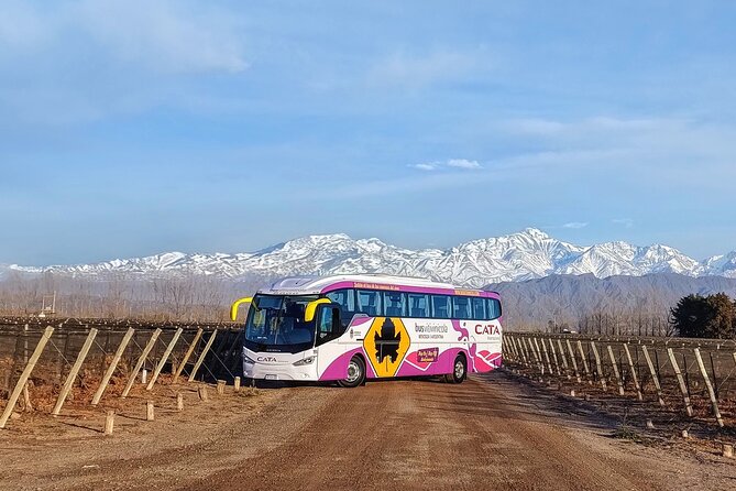 Mendoza Hop-On Hop-Off Wine Tour - Final verdict