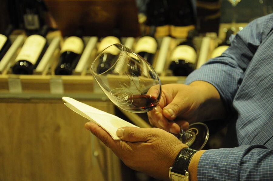 Mendoza: Premium Wine Tasting - A city tasting versus a vineyard visit