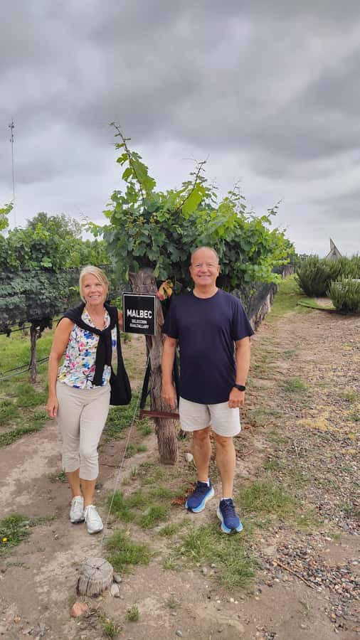 Mendoza: Top Wineries Guided Tour with Transportation - Five details that shape the day
