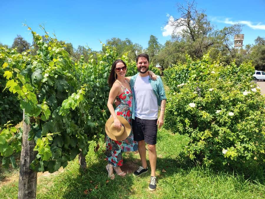 Mendoza: Top Wineries Guided Tour with Transportation - The vehicle and the practical comfort