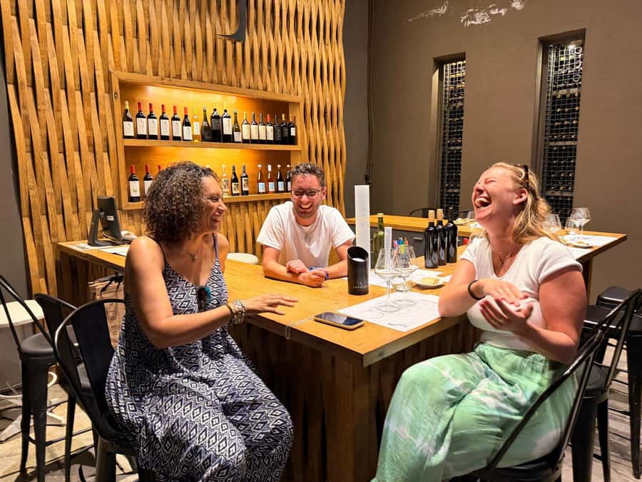Mendoza: Top Wineries Guided Tour with Transportation - Who should book this Mendoza wine tour?