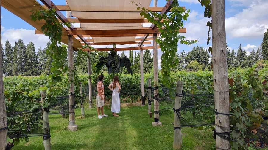 Mendoza: Top Wineries Guided Tour with Transportation - Starting from Mendoza and choosing your wine country