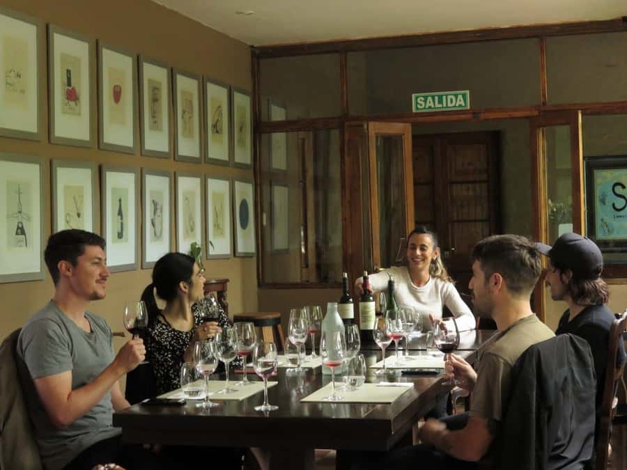 Mendoza: Wine Tasting Tour with Lunch and Private Transport - Key points at a glance