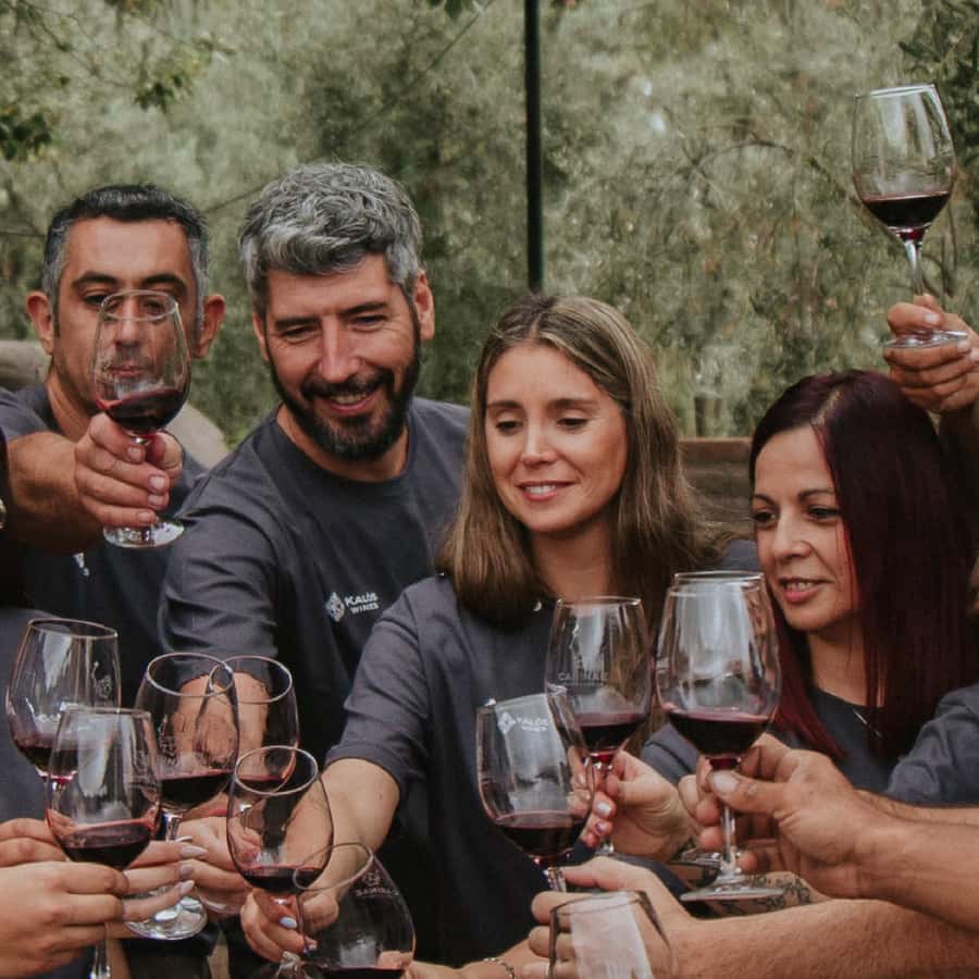 Mendoza: Wine Tasting Tour with Lunch and Private Transport - First winery: a guided introduction to Mendoza wine