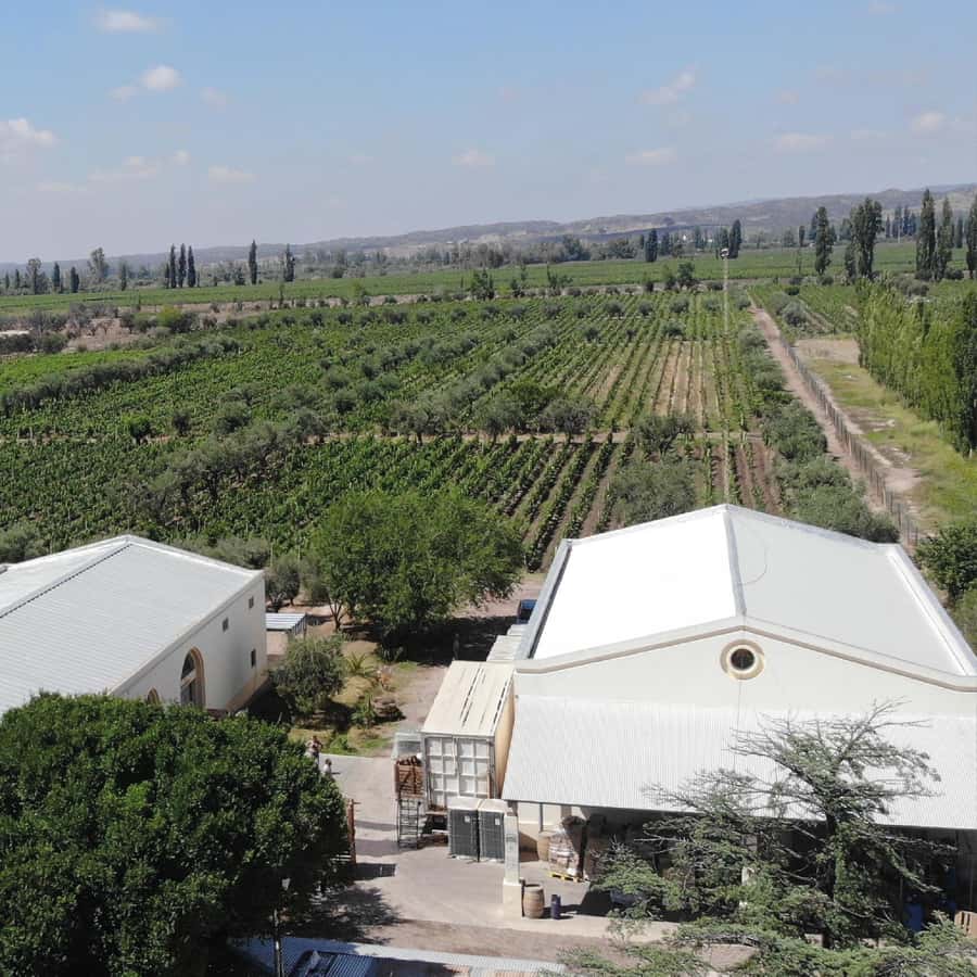 Mendoza: Wine Tasting Tour with Lunch and Private Transport - The long lunch at Antigal, Tempus Alba, or Hacienda del Plata