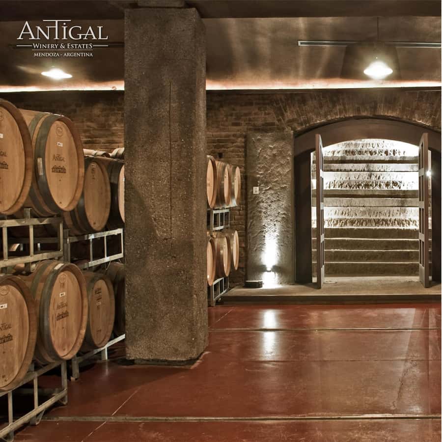 Mendoza: Wine Tasting Tour with Lunch and Private Transport - How much wine will you taste?