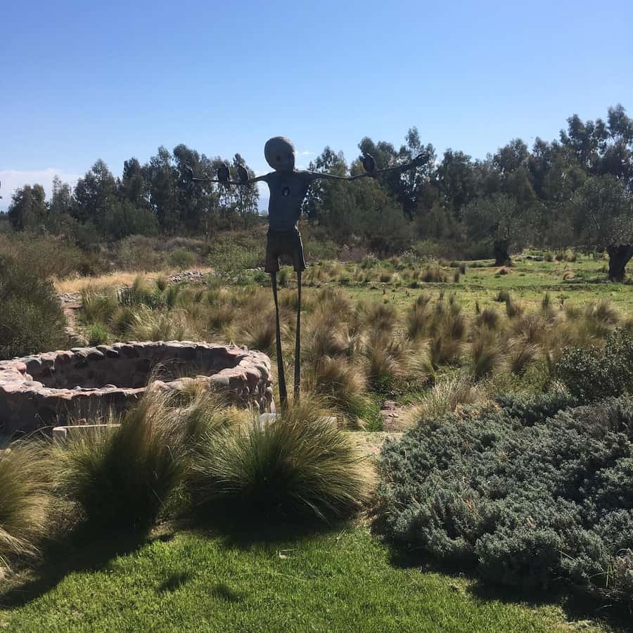 Mendoza: Wine Tasting Tour with Lunch and Private Transport - Language, timing, and practical advice