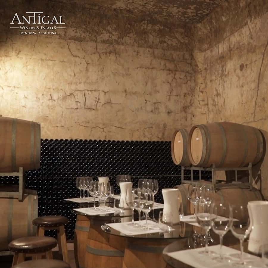 Mendoza: Wine Tasting Tour with Lunch and Private Transport - Your private pickup and ride through the vineyards