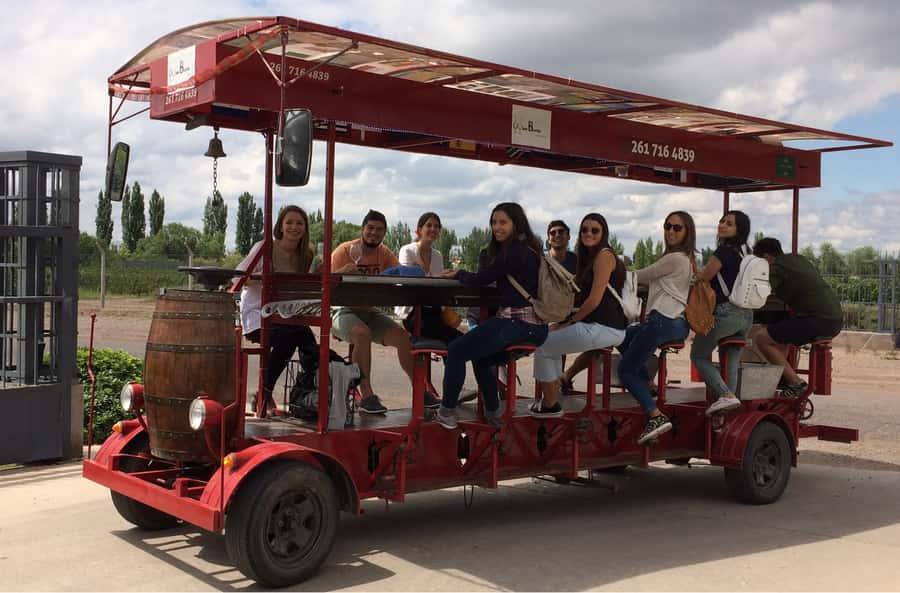 Mendoza: Winebike Tasting Tour with Optional Lunch - Starting with Malbec at Carinae Winery