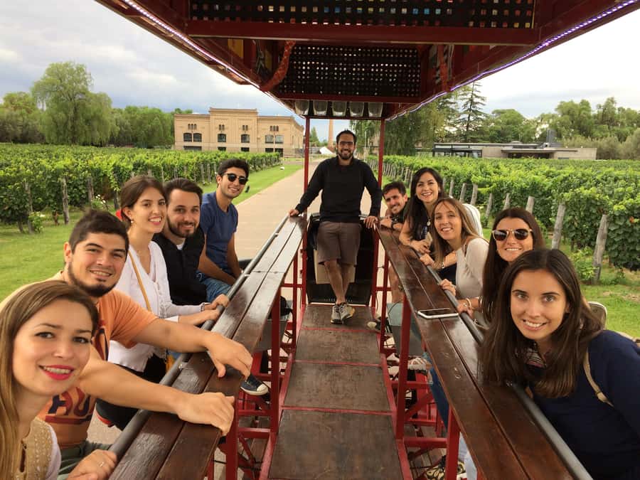 Mendoza: Winebike Tasting Tour with Optional Lunch - La Melessca and Mendoza’s olive oil culture