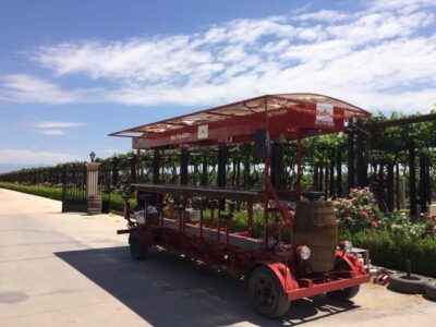 Winebike Tasting Tour with Optional Lunch