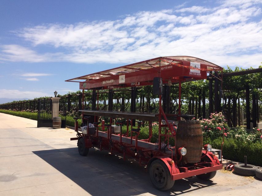 Mendoza: Winebike Tasting Tour with Optional Lunch - Small details that make the day work