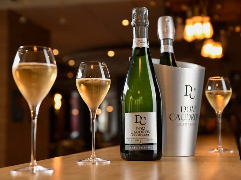 Meunier Champagne Experience tour - Passy-Grigny - Key points to know before you go