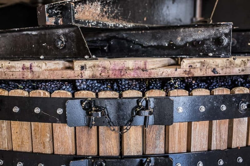 Meunier Champagne Experience tour - Passy-Grigny - Why Passy-Grigny makes a good Champagne stop