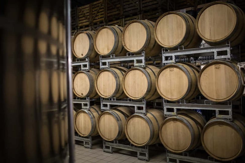 Meunier Champagne Experience tour - Passy-Grigny - Is $17 good value?