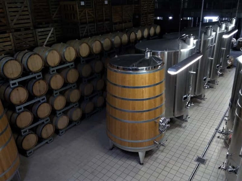 Meunier Champagne Experience tour - Passy-Grigny - What the tour does not try to be