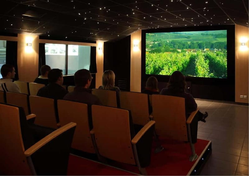 Meunier Champagne Experience tour - Passy-Grigny - The 75-minute visit, step by step