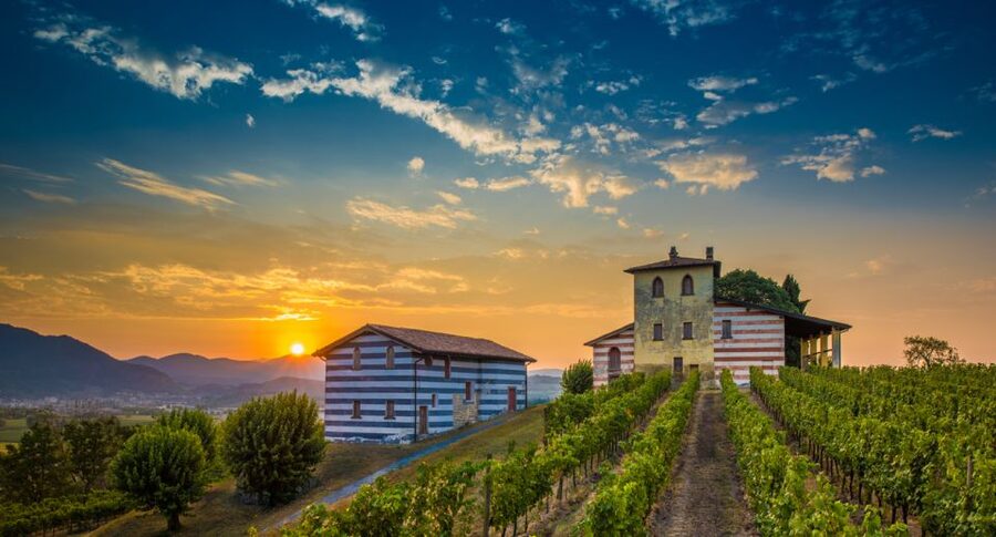 Milan: Franciacorta Winery and Bergamo Day Trip with Lunch - Key points at a glance