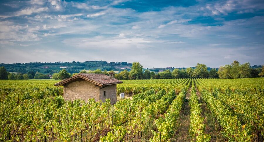 Milan: Franciacorta Winery and Bergamo Day Trip with Lunch - Lunch beside Lake Iseo