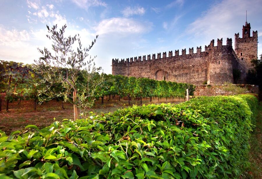 Milan: Franciacorta Winery and Bergamo Day Trip with Lunch - The scenic drive is part of the experience
