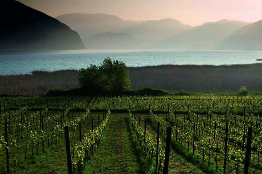 Milan: Franciacorta Winery and Bergamo Day Trip with Lunch - Timing, comfort, and who should book
