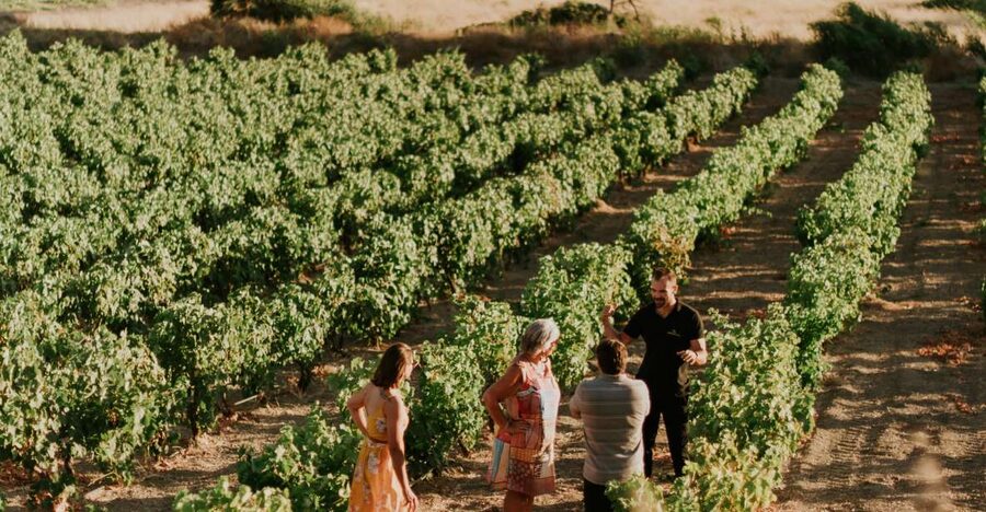 Milos Island: Kostantakis Winery Wine Tasting Experience - Who Should Book This Milos Wine Tour?