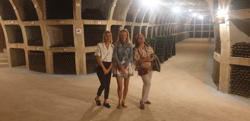 Moldova: Wine Tour to Mileștii Mici Cellar with Tasting - Entering 200 kilometers of underground galleries