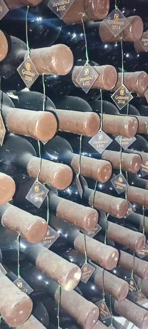 Moldova: Wine Tour to Mileștii Mici Cellar with Tasting - The three-wine tasting and local snacks