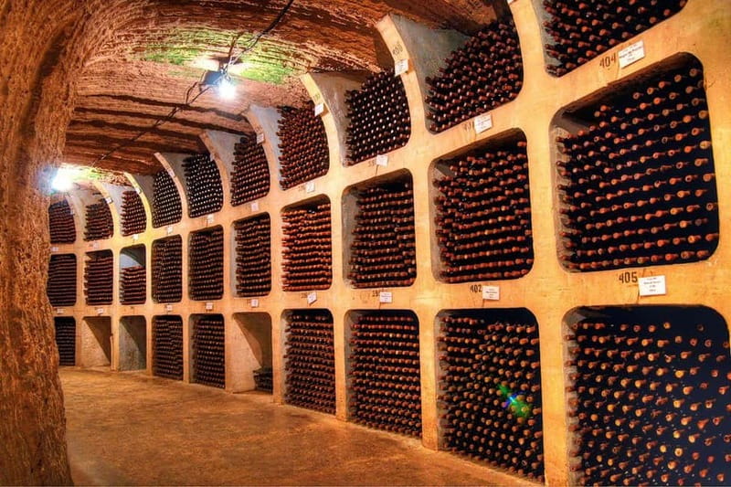 Moldova: Wine Tour to Mileștii Mici Cellar with Tasting - The bottle you take home