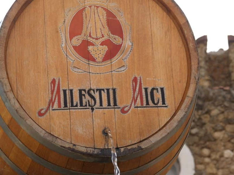 Moldova: Wine Tour to Mileștii Mici Cellar with Tasting - Who will enjoy this tour most?