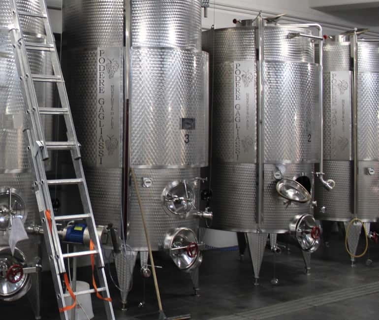 Monforte d'Alba: Wine Tasting, Cellar Visit, and Vineyard Tour - Five useful things to know before you go