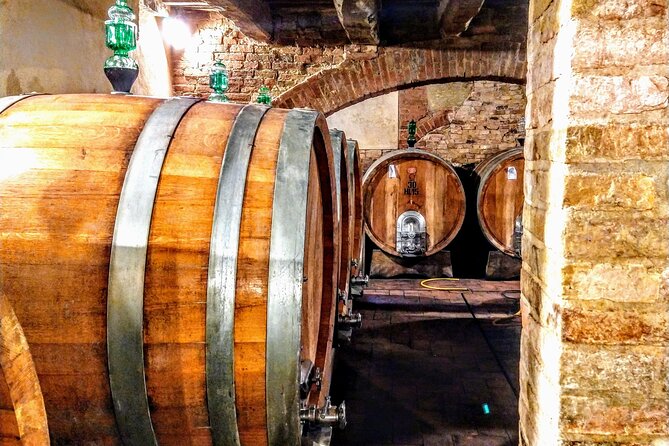 Montalcino: Brunello Wine Tasting & Lunch in a Tuscan Castle - Walking the vineyard with a sommelier