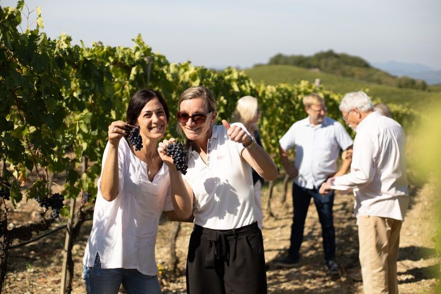 Montalcino: Guided Winery Tour and Wine Tasting - Why Corte Pavone makes a good Montalcino stop