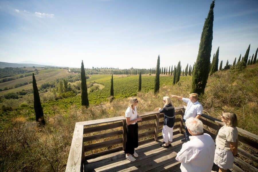 Montalcino: Guided Winery Tour and Wine Tasting - The cellar shows why aging is not one-size-fits-all