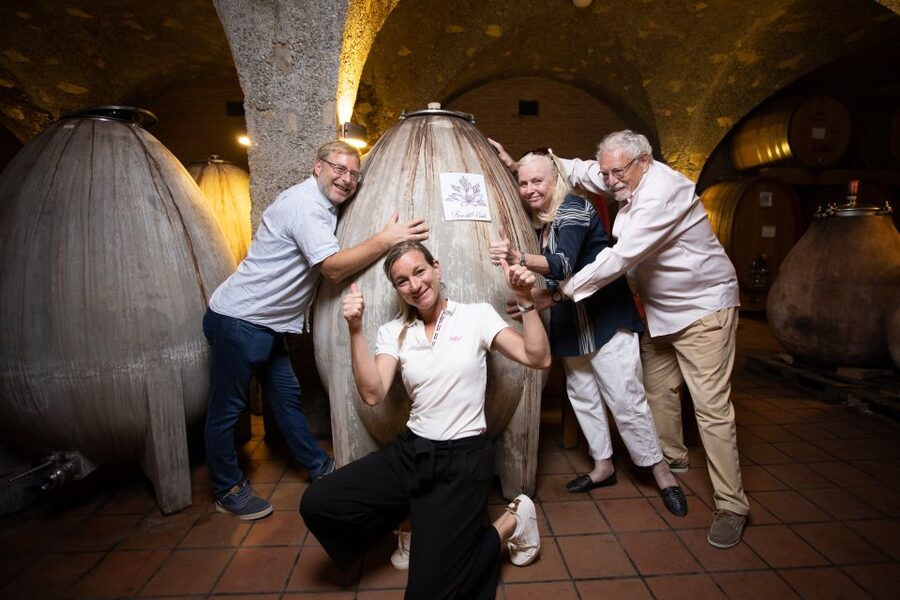 Montalcino: Guided Winery Tour and Wine Tasting - Should you book Corte Pavone Winery?