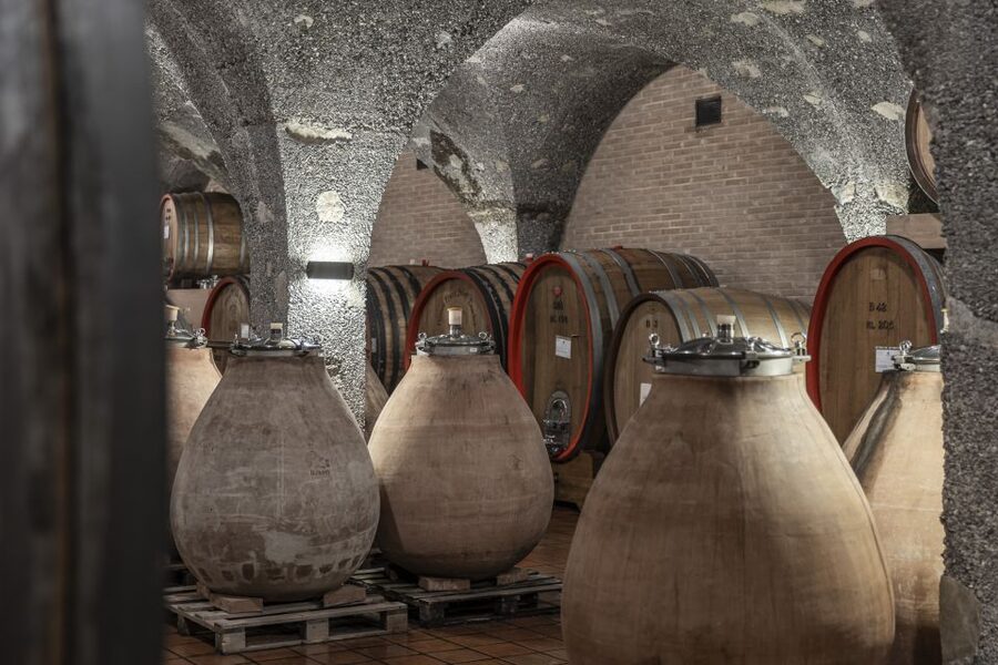 Montalcino: Guided Winery Tour & Gourmet Food Tasting - Practical Details That Matter