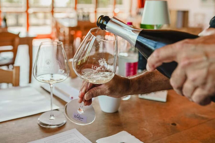Montalcino: Guided Winery Tour & Gourmet Food Tasting - Six Wines, Three Flights, Six Small Plates