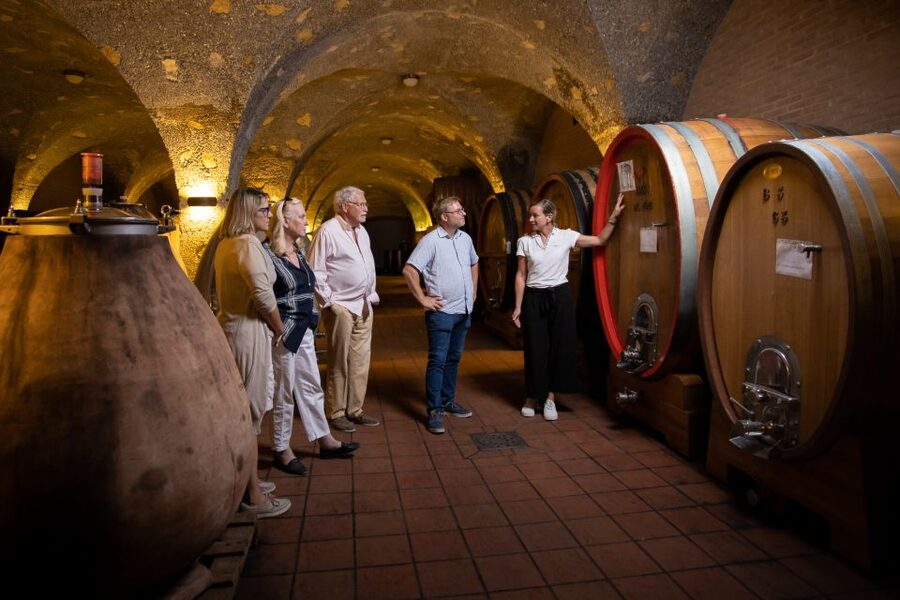 Montalcino: Guided Winery Tour & Gourmet Food Tasting - What the Guides Add to the Visit