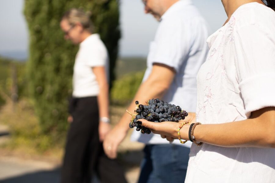 Montalcino: Guided Winery Tour & Gourmet Food Tasting - Who Will Enjoy This Most?