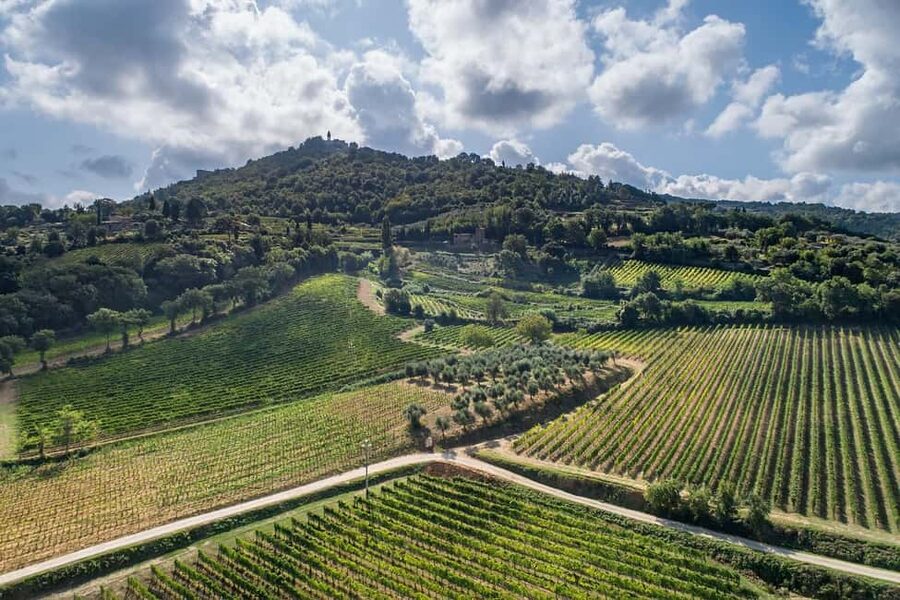Montalcino: Premium Wine Tasting with light-lunch and Tour - Five things to know before booking