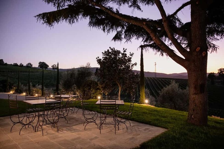 Montalcino: Premium Wine Tasting with light-lunch and Tour - What the wine sequence teaches you
